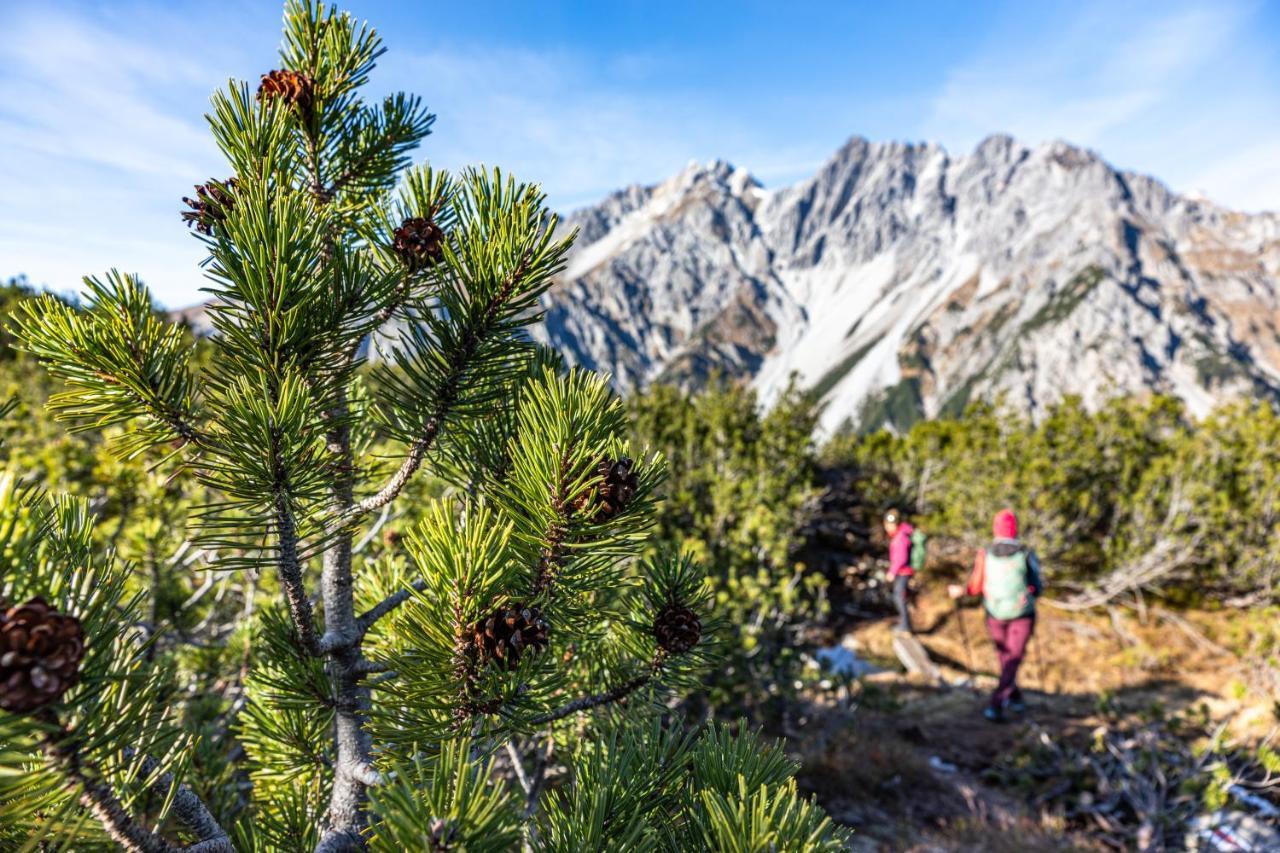 Wald 12 Ferienhaus Hotell Wald am Arlberg Exteriör bild